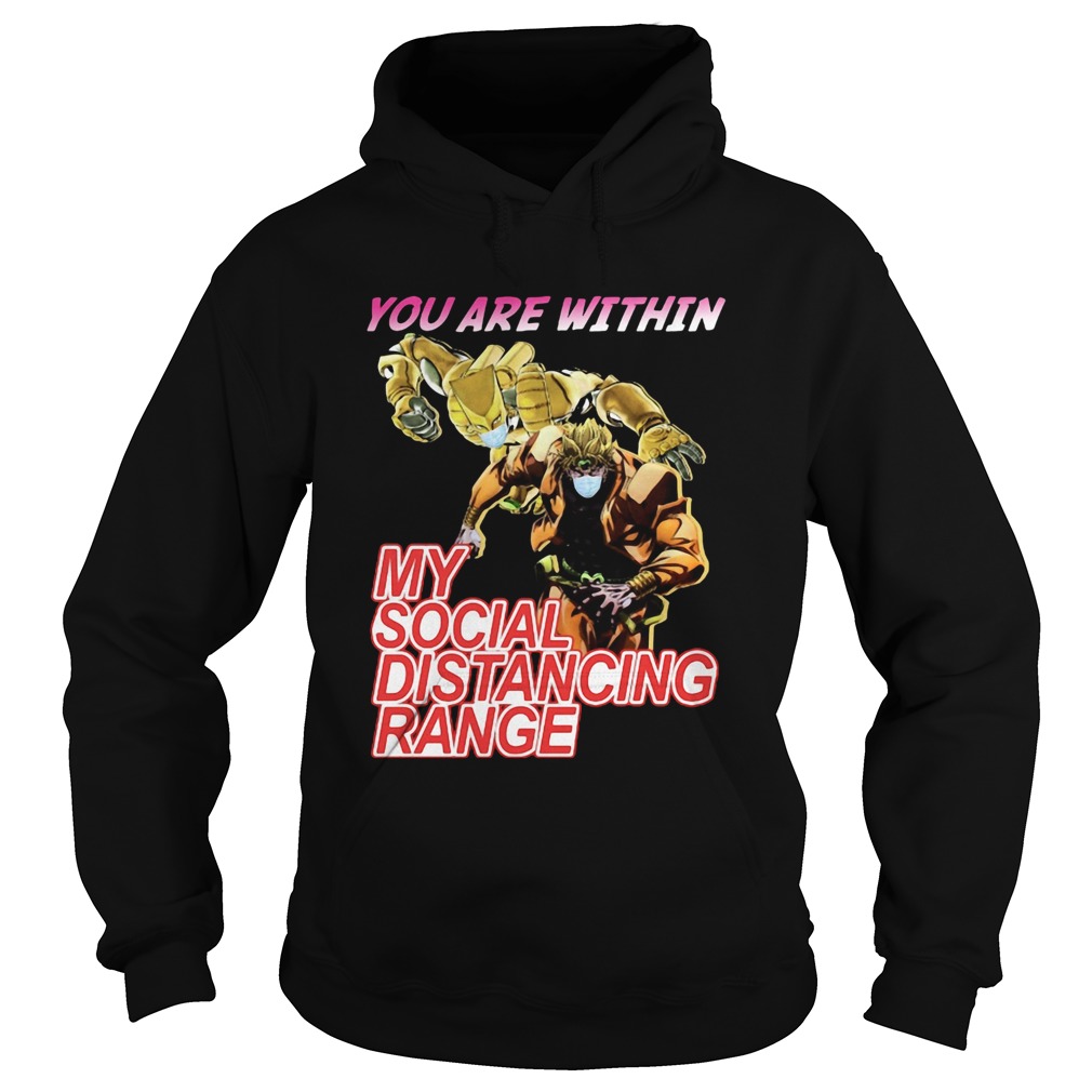 You are within my social distancing range Hoodie