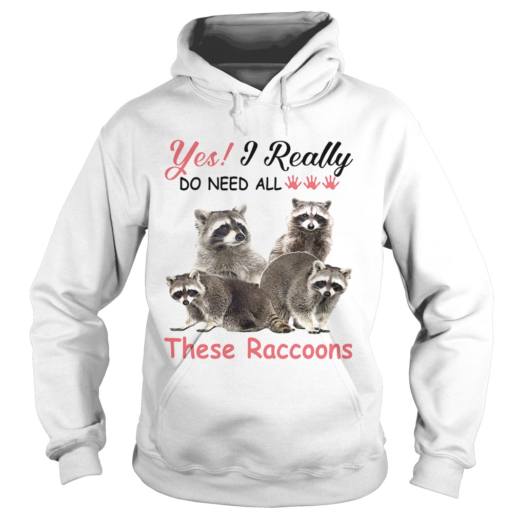es I really do need all These Raccoons Hoodie