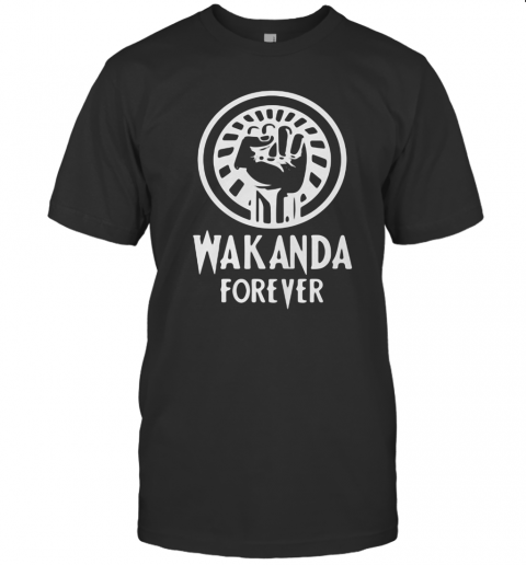 Black Panther Rip Chadwick Boseman Wakanda Forever Black Lives Matter T-Shirt