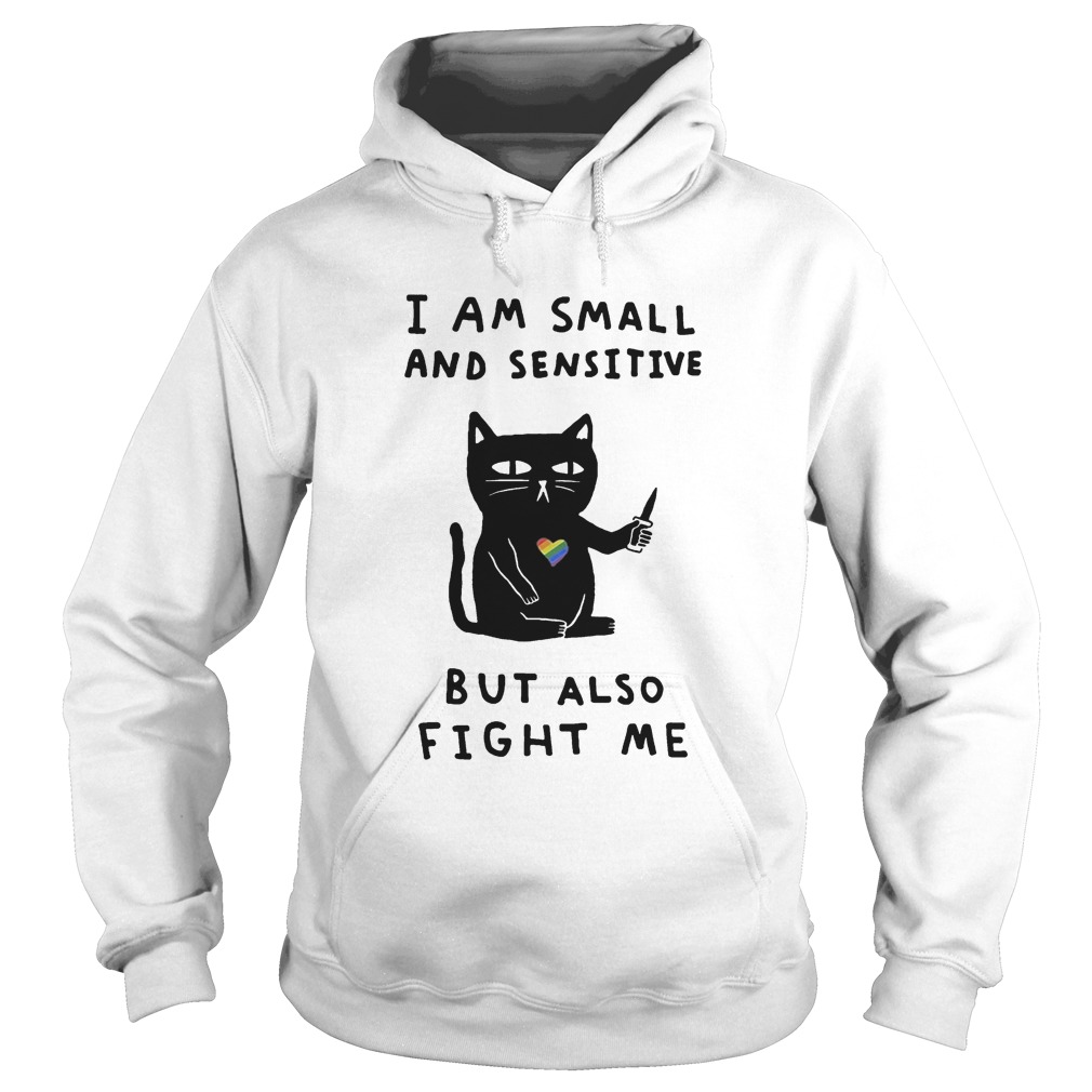 Black cat heart LGBT I am small and sensitive but also fight me Hoodie