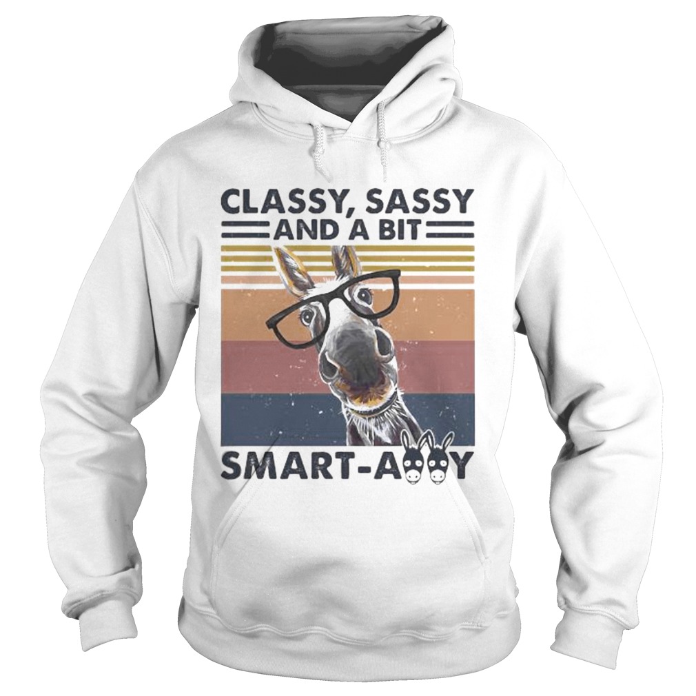 Donkey classy sassy and a bit smartassy vintage retro Hoodie