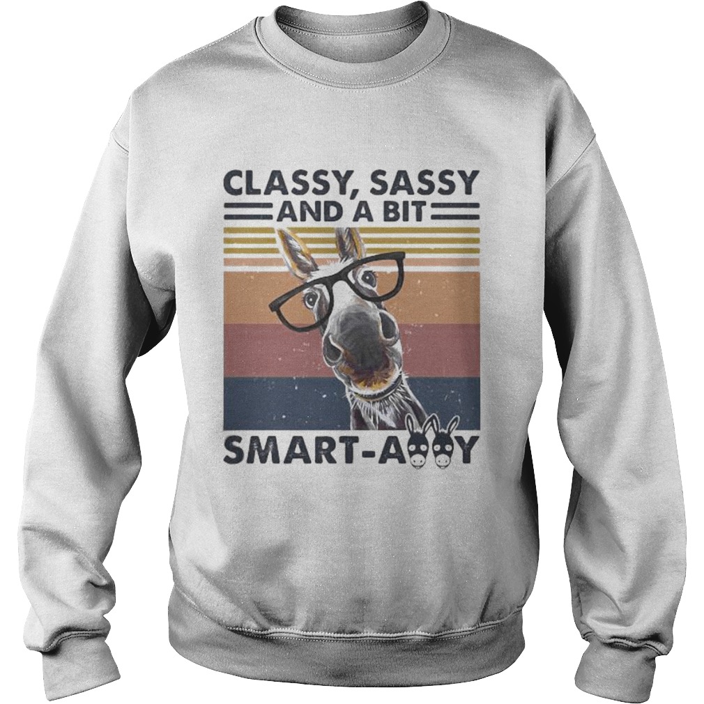 Donkey classy sassy and a bit smartassy vintage retro Sweatshirt