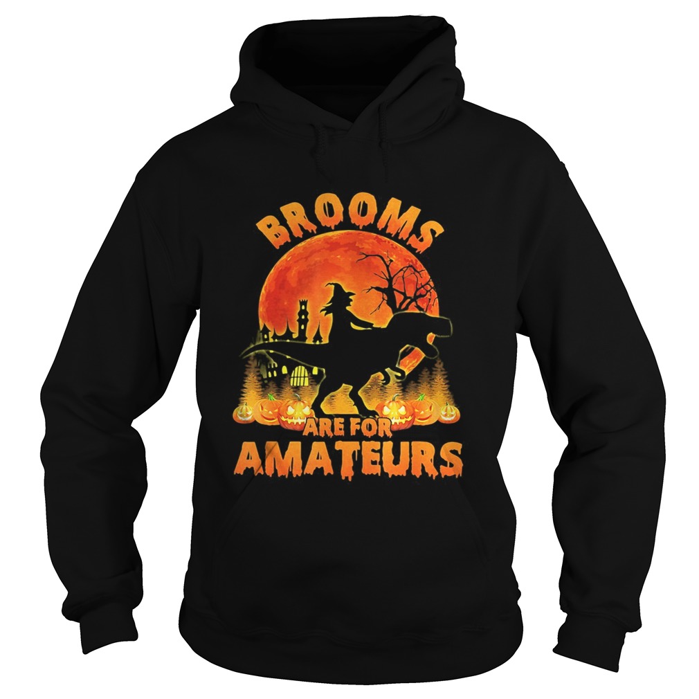 Halloween witch riding dinosaur brooms are for amateurs moon Hoodie