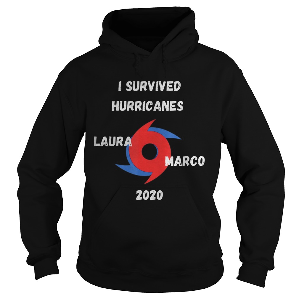 I Survived Hurricanes LauraMarco 2020 Funny Weather Hoodie
