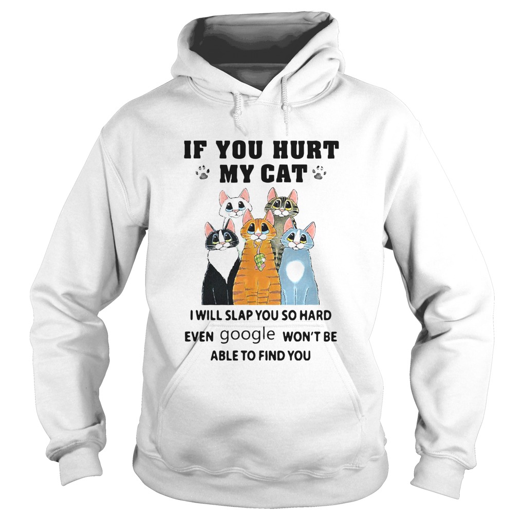 If You Hurt My Cat I Will Slap You So Hard Even Google Wont Be Able To Find You Hoodie