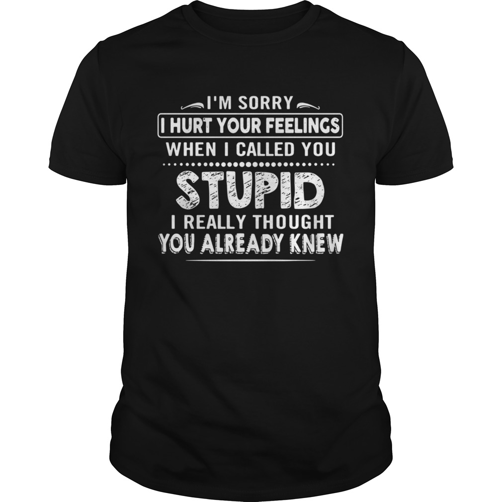 Im sorry I hurt your feelings when I called you stupid shirt