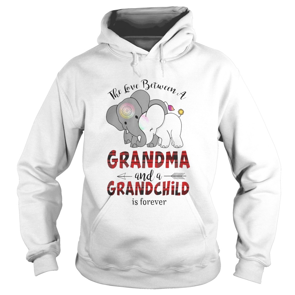 The Love Between A Grandma And A Grandchild Is Forever Hoodie