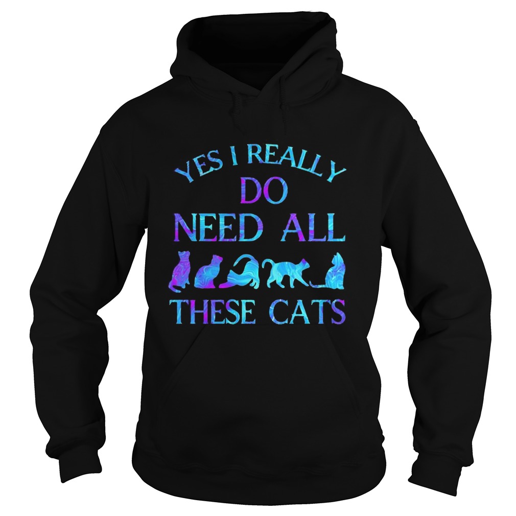Yes i really do need all these cats Hoodie