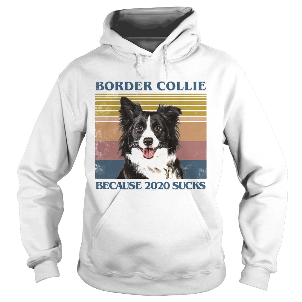Border collie because 2020 sucks vintage retro Hoodie