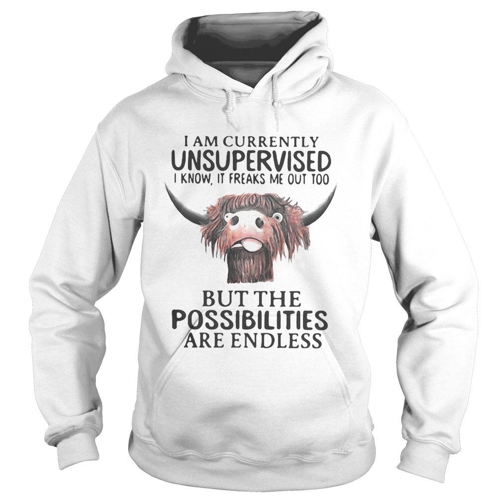 Buffalo I am currently unsupervised i know it freaks me out too but the possibilities are endless s Hoodie