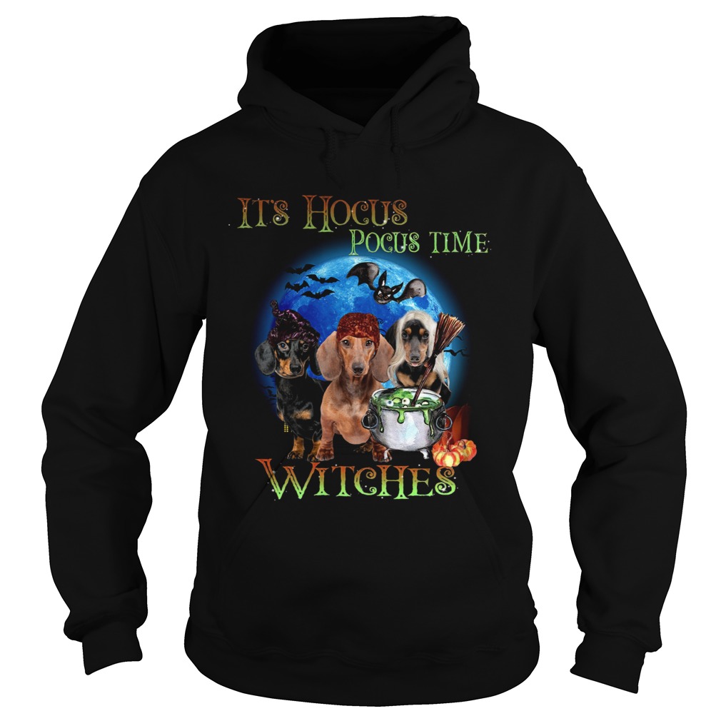Halloween Dachshund Its Hocus Pocus Time Witches t Hoodie
