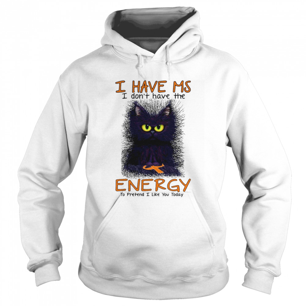 I Have Ms I Don’t Have The Energy To Pretend I Like You Today Black Cat Unisex Hoodie