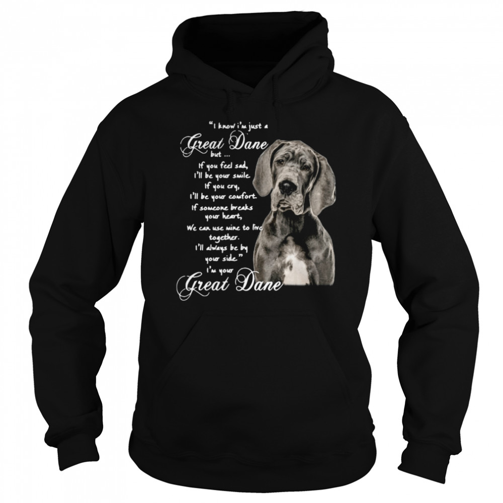 I Know I'm Just A Great Dane But If You Feel Sad I'll Be Your Smile If You Cry Unisex Hoodie