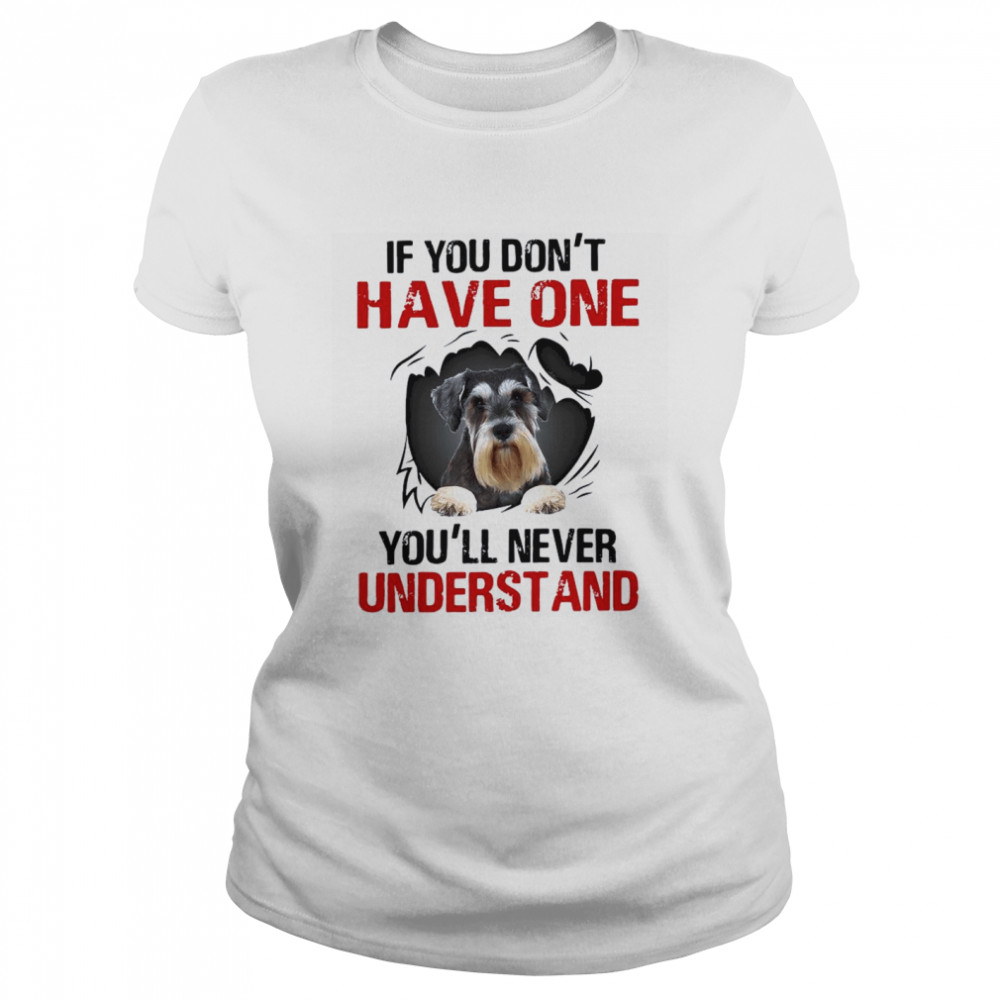 If You Don’t Have One You’ll Never Understand Classic Women's T-shirt