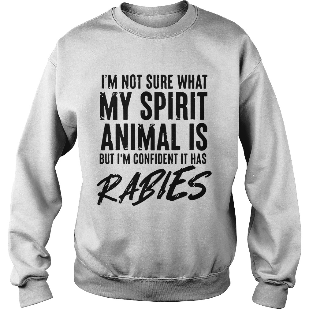 Im Not Sure What My Spirit Animal Is But Im Confident It Has Rabies Sweatshirt