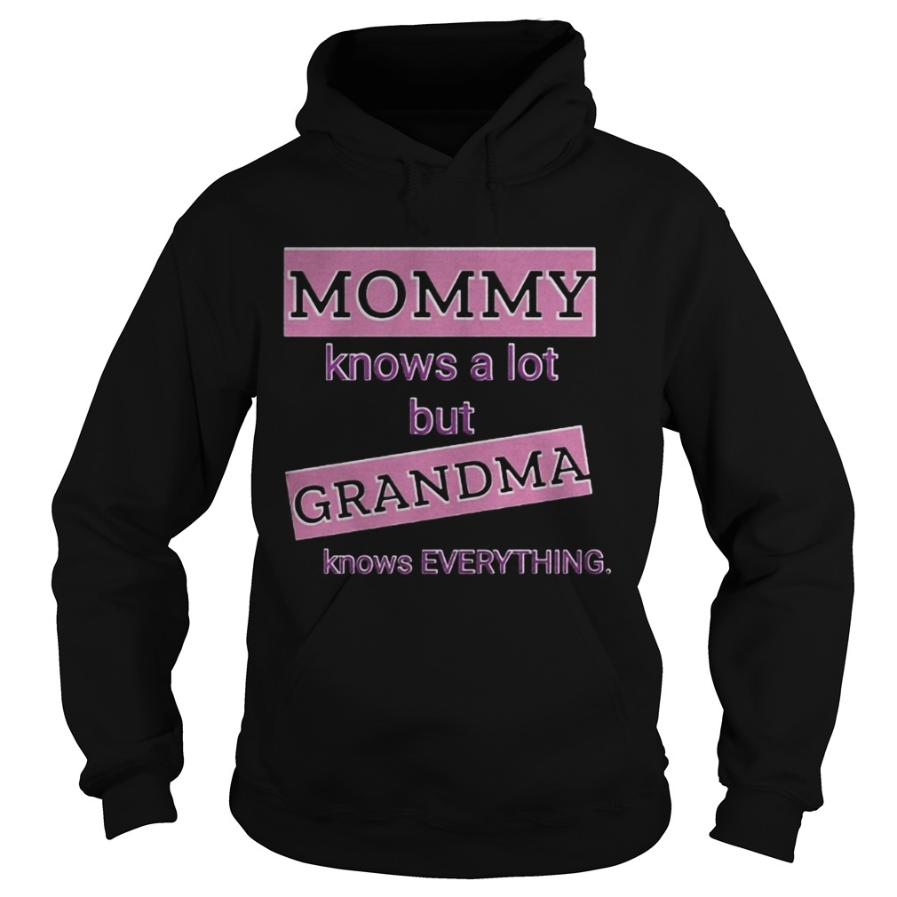 Mommy knows a lot but grandma knows everything Hoodie