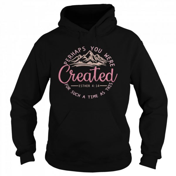 Perhaps You Were Created For Such A Time As This Esther 4 14 Pink  Unisex Hoodie