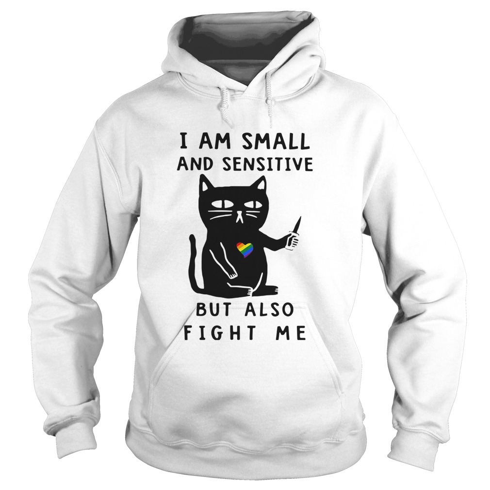 Black Cat I Am Small And Sensitive But Also Fight Me Hoodie
