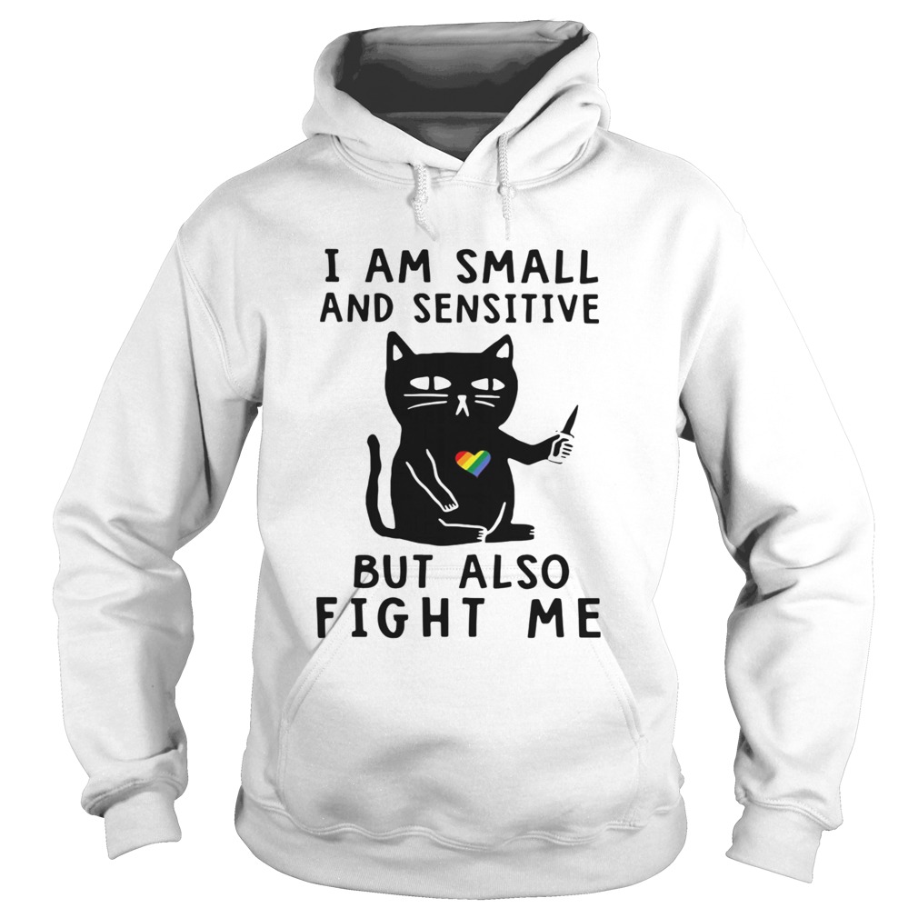 Black Cat I Am Small And Sensitive Nevermind But Also Fight Me LGBT Hoodie