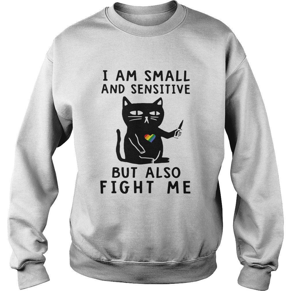 Black Cat I Am Small And Sensitive Nevermind But Also Fight Me LGBT Sweatshirt