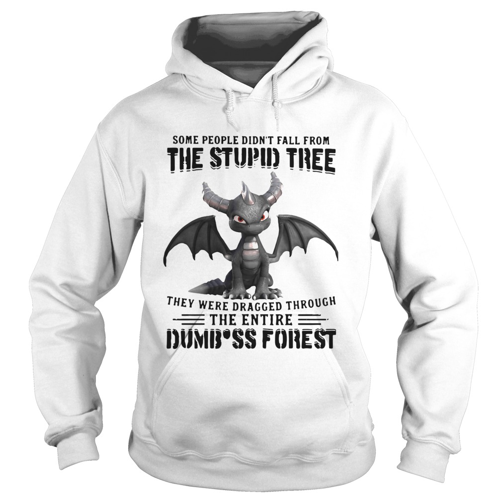 Dragon Some People Didnt Fall From The Stupid Tree They Were Dragged Through The Entire Dumbass F Hoodie