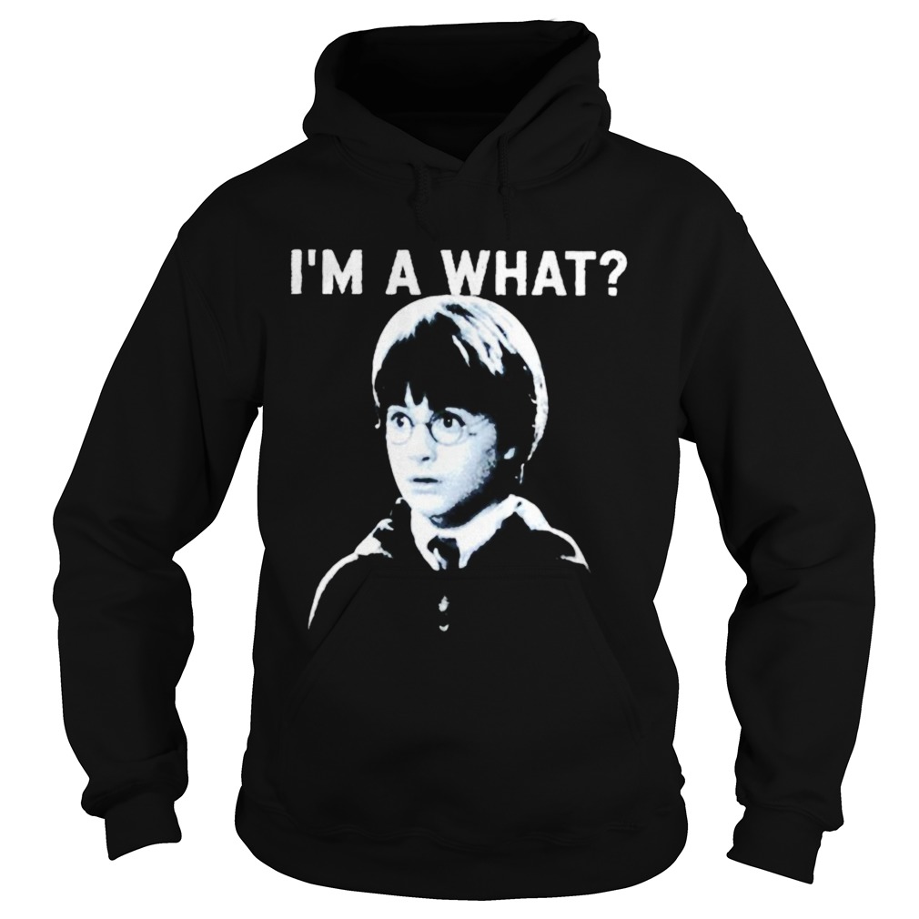 Harry Potter Im a what Hoodie