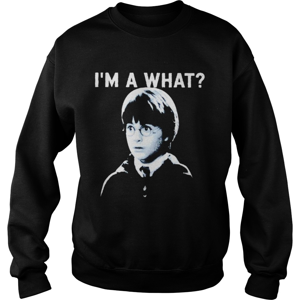 Harry Potter Im a what Sweatshirt