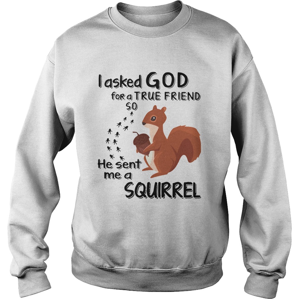 I Asked God For A True Friend So He Sent Me A Squirrel Sweatshirt