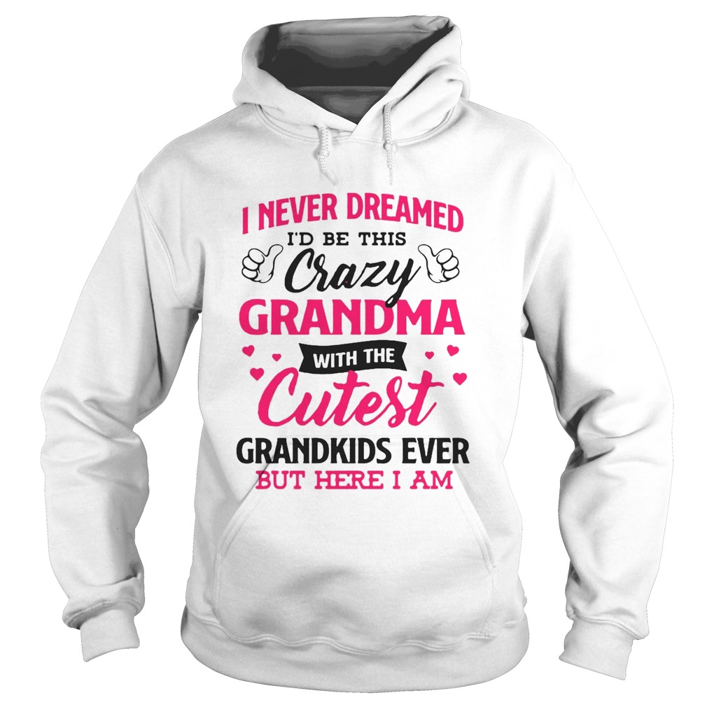 I Never Dreamed Id Be This Crazy Grandma With The Cutest Grandkids Ever But Here I Am Hoodie