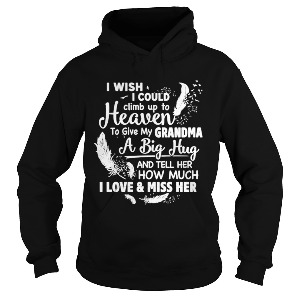 I Wish I Could Climb Up To Heaven To Give My Grandma A Big Hug And Tell Her How Much I Love And Mis Hoodie
