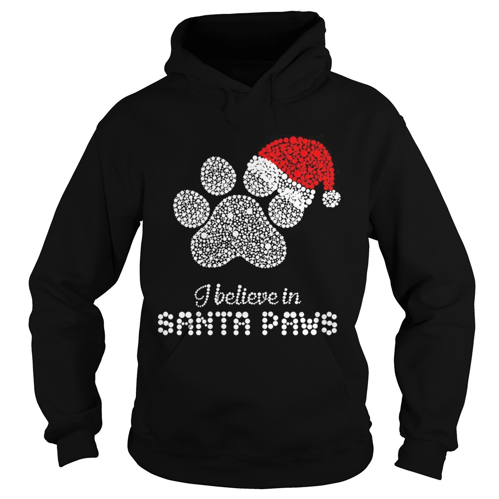 I believe in santa paws Christmas Hoodie