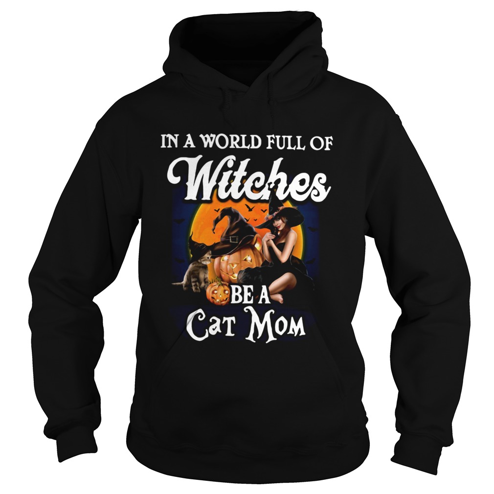 In A World Full Of Witches Be A Cat Mom Hoodie