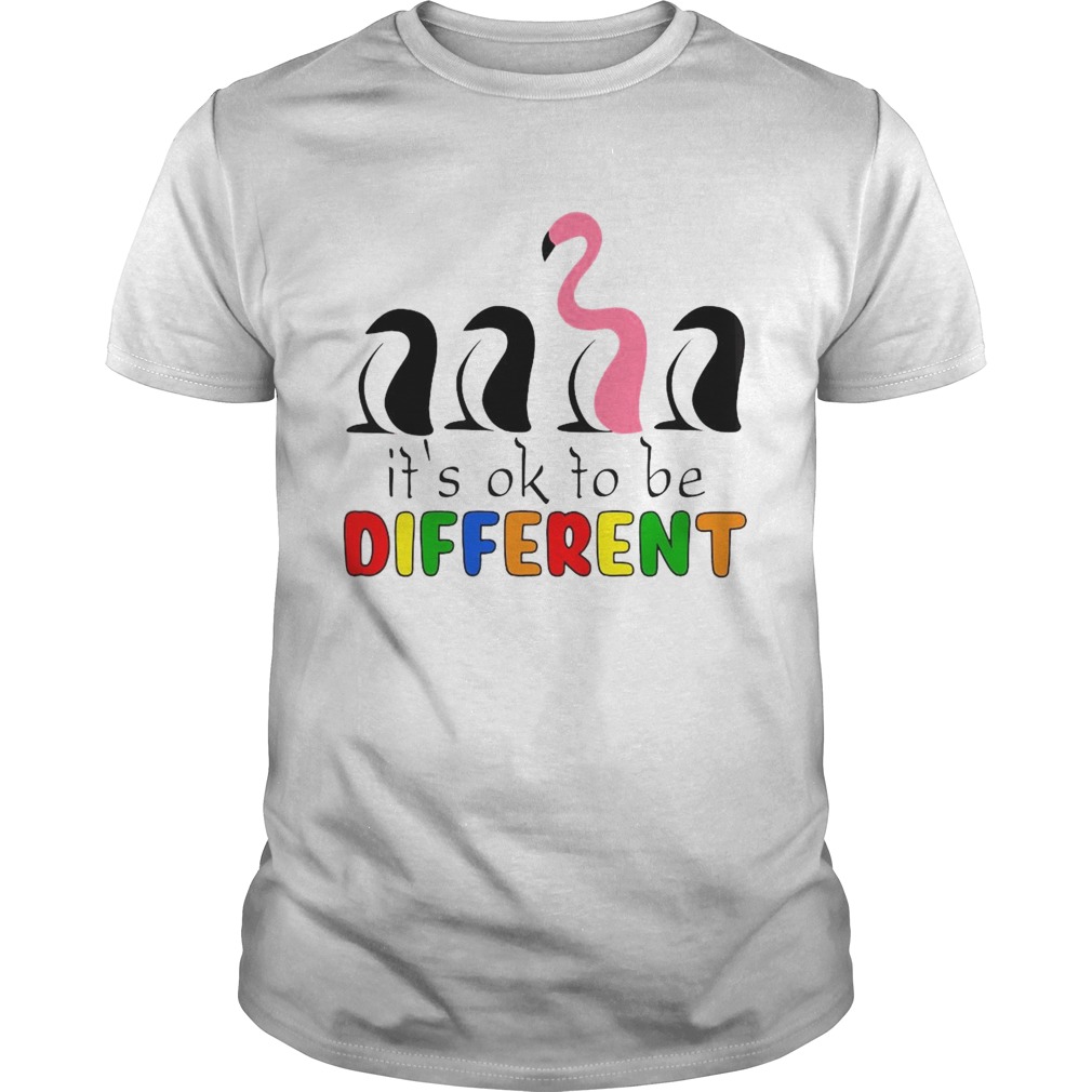 Its Ok To Be Different Baseball Flamingo shirt