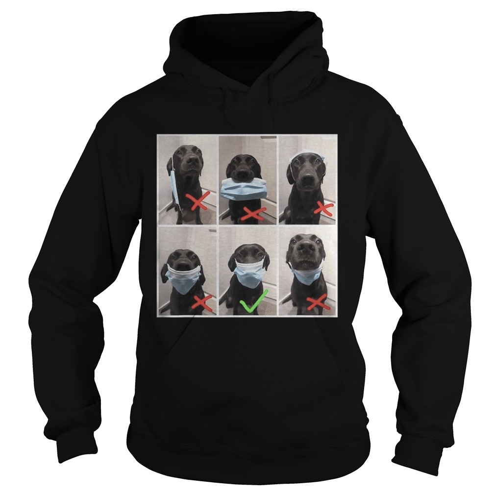 Real dog wear face mask wrong and right social distance Hoodie