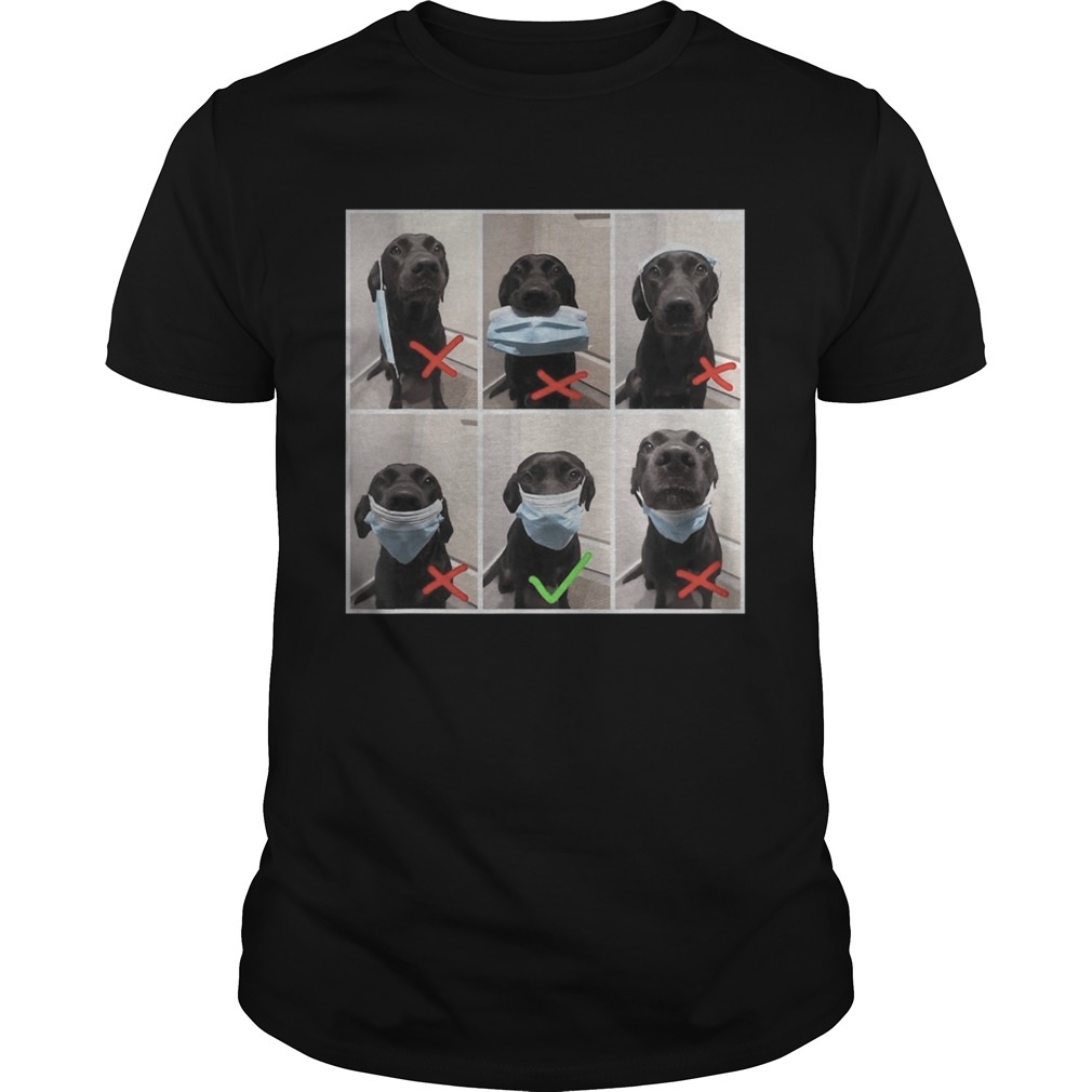 Real dog wear face mask wrong and right social distance shirt