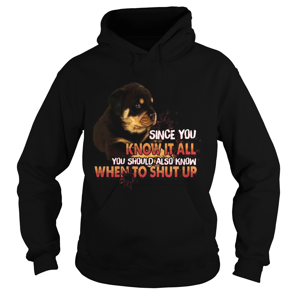 Since You Know It All You Should Also Know When To Shut Up Hoodie