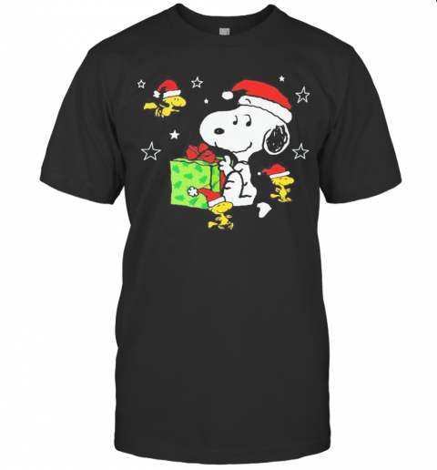 Snoopy And Woodstock Merry Christmas Stars T-Shirt
