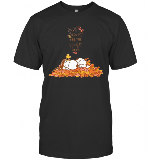 Snoopy Fall Plays Are The First Day T-Shirt