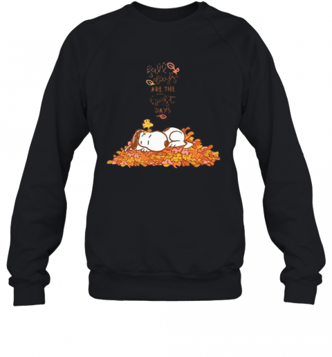 Snoopy Fall Plays Are The First Day T-Shirt Unisex Sweatshirt