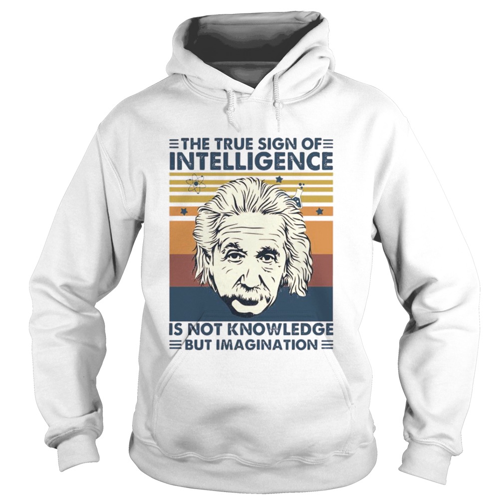 The True Sign Of Intelligence Is Not Knowledge But Imagination Vintage Hoodie