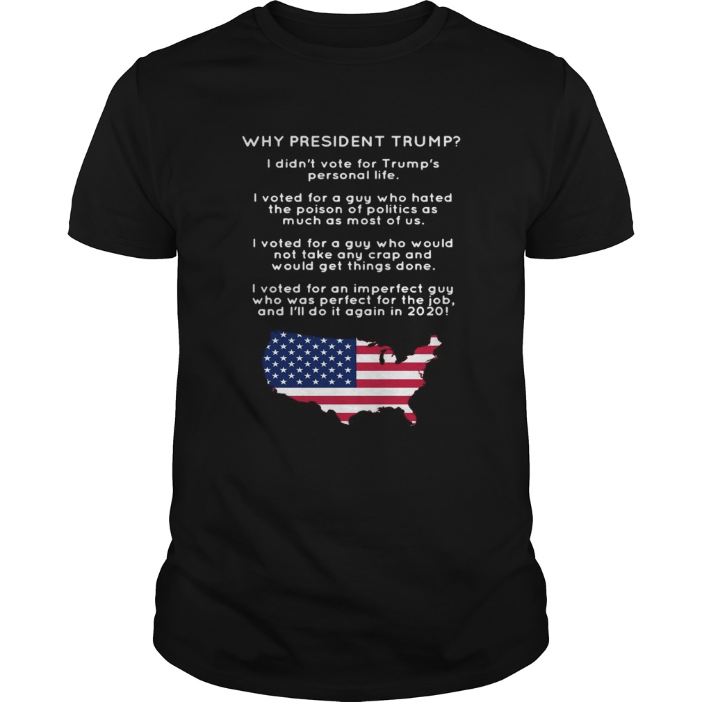 Why President Trump I Didnt Vote For Trumps Personal Life shirt