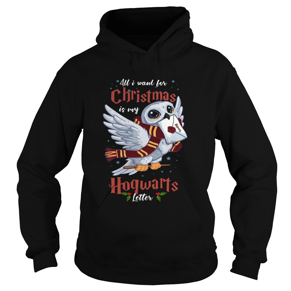 All I Want For Christmas Is My Hogwarts Letter Hoodie