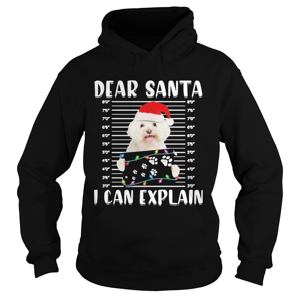 Bichon Dear Santa I Can Explain Christmas Sweater Hoodie