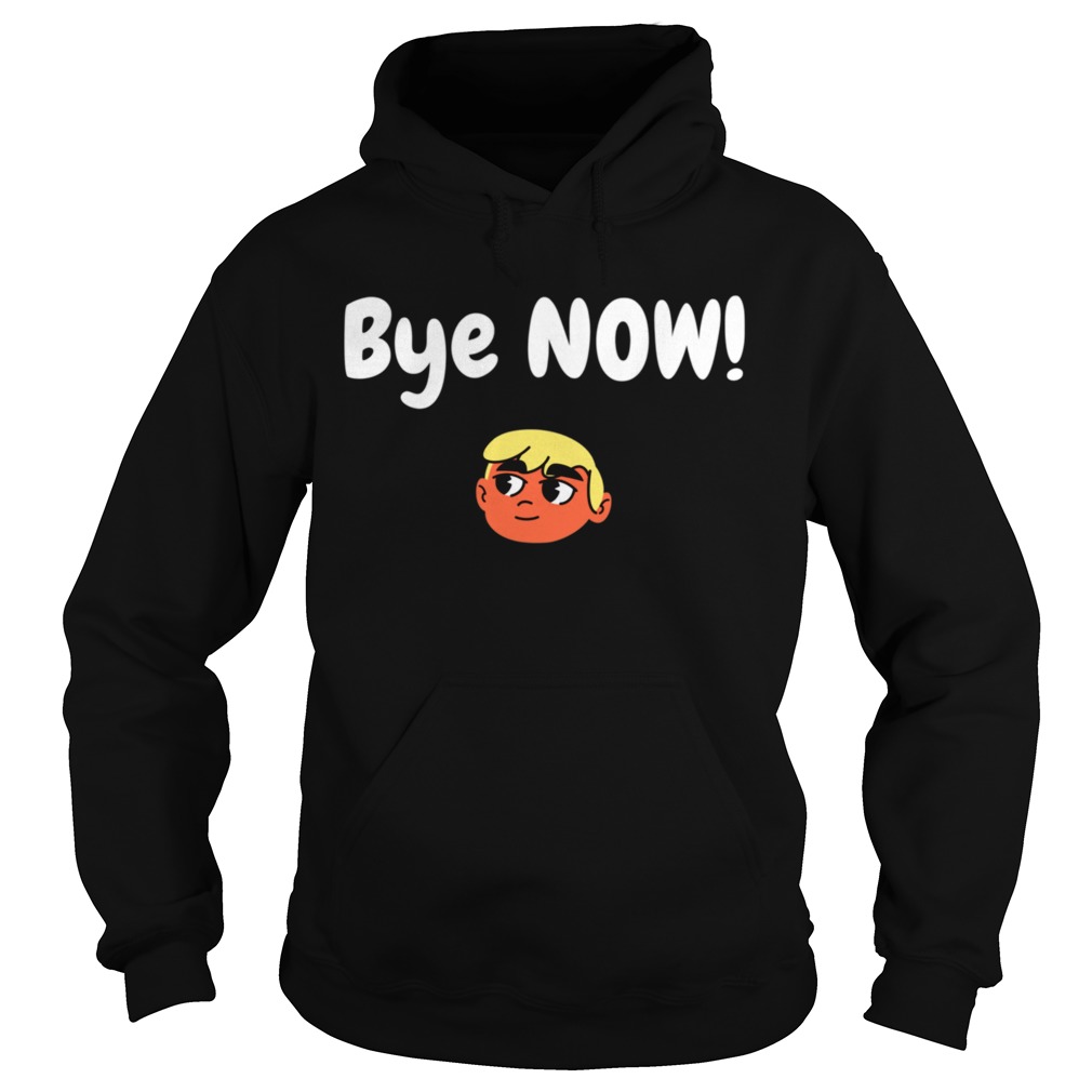 Bye Now 2020 Election Classic Donald Trump Hoodie