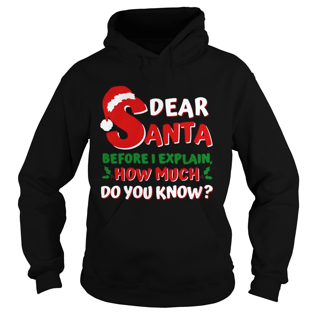 Dear Santa Before I Explain How Much Do You Know Hoodie