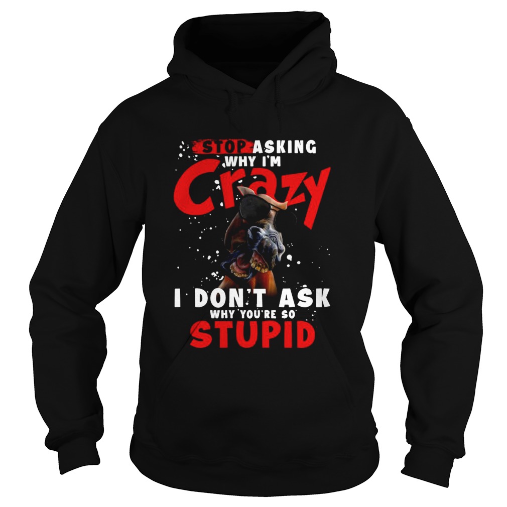 Horse Stop Asking Why Im Crazy I Dont Ask Why Youre So Stupid Hoodie