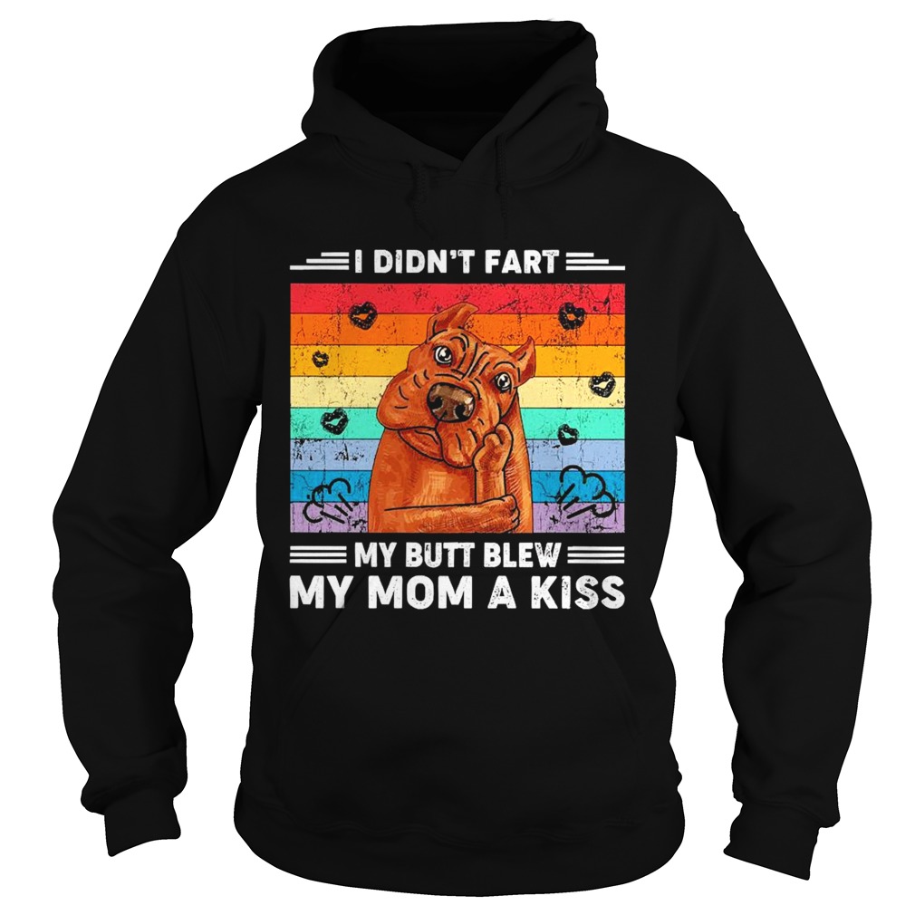 I didnt fart my butt blew my mom a kiss vintage Hoodie
