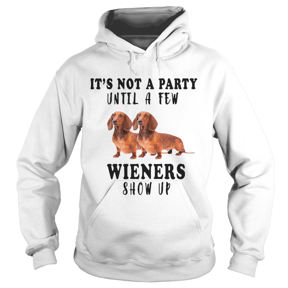 Its Not A Party Until A Few Wieners Show Up Hoodie