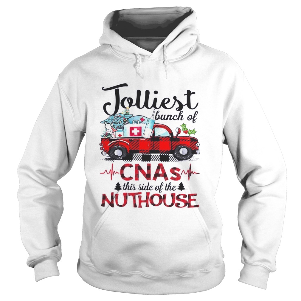 Jolliest Bunch Of CNA This Side Of The Nuthouse Hoodie