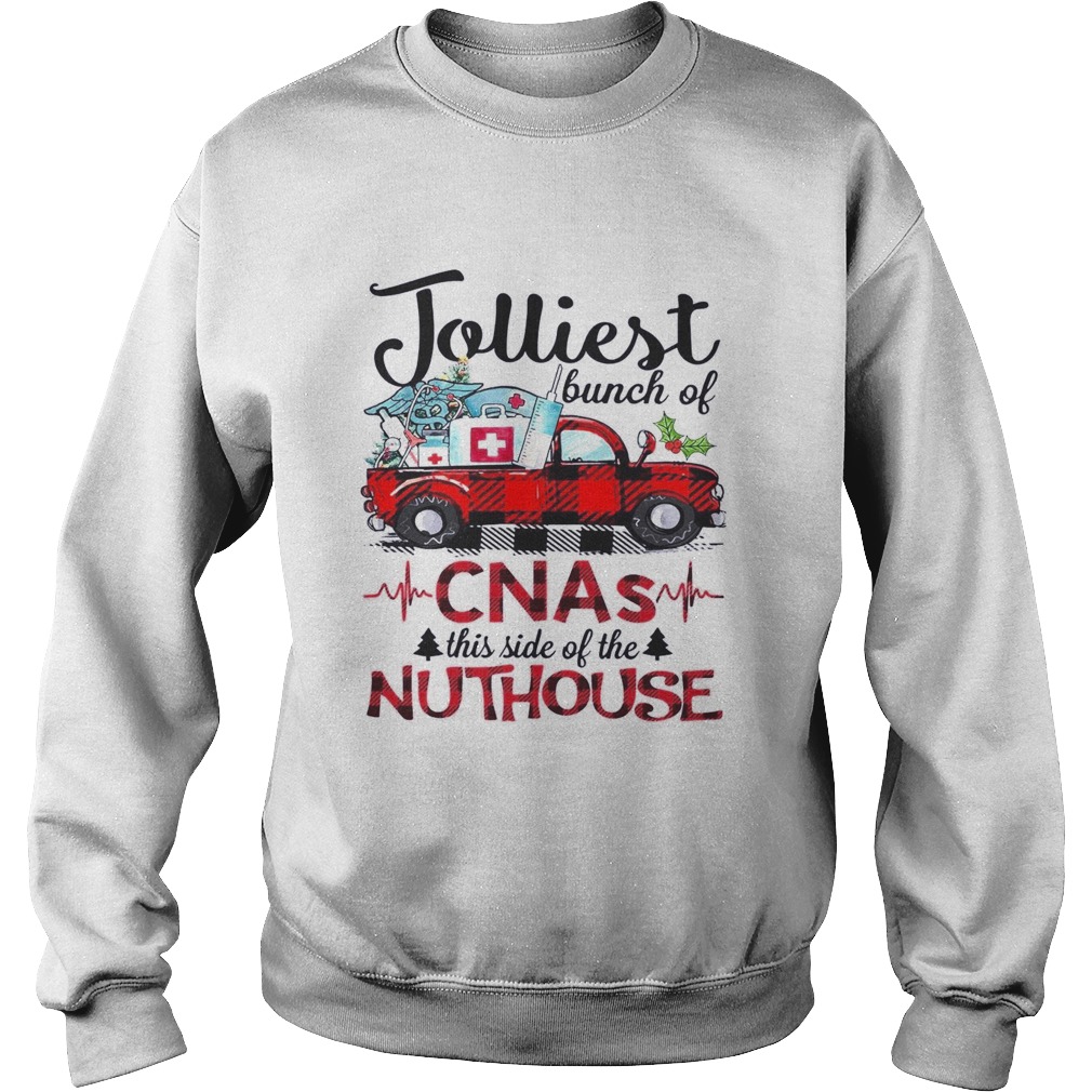 Jolliest Bunch Of CNA This Side Of The Nuthouse Sweatshirt